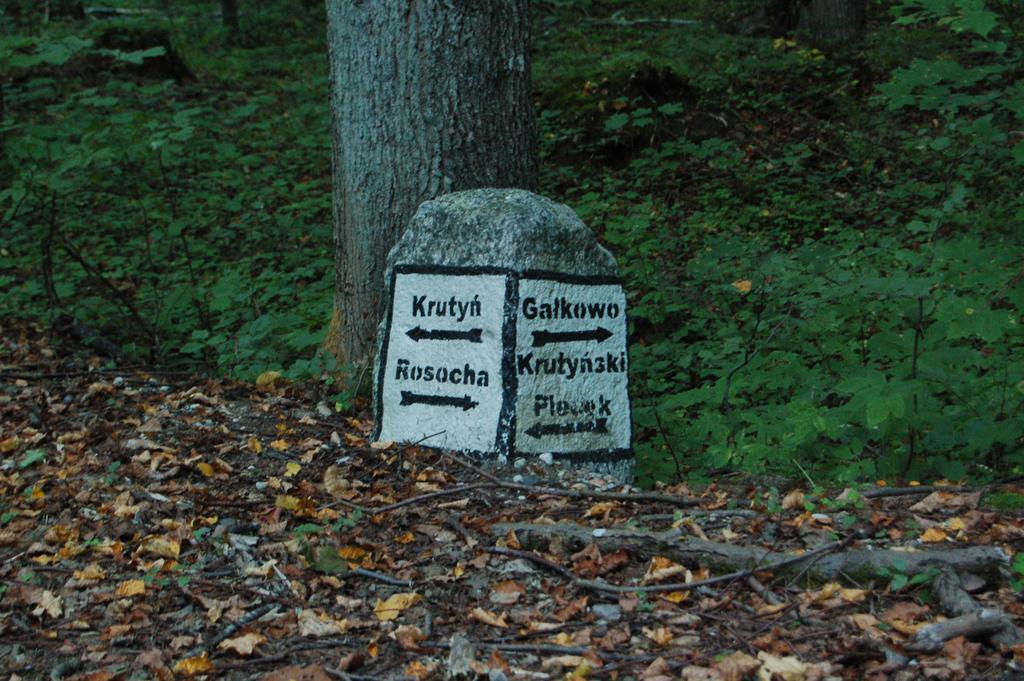 Stara Papiernia Zielony Lasek Krutynski Piecek Exterior foto